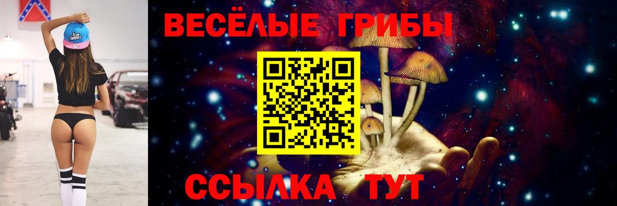 Псилоцибиновые грибы GOLDEN TEACHER  Вход с VPN  Киржач 